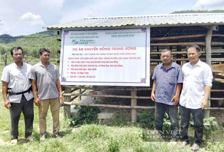 TTKN tỉnh Lâm Đồng triển khai dự án“Xây dựng mô hình chăn nuôi cừu sinh sản thích ứng với biến đổi khí hậu vùng Duyên hải Nam Trung Bộ”(thuộc Dự án Khuyến nông Trung ương). Ảnh: PV