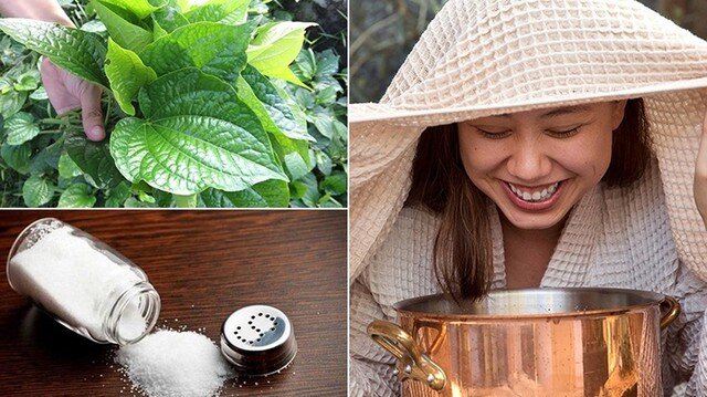 Lá lốt từ lâu đã được xem như một nguyên liệu thiên nhiên đa năng không chỉ dùng trong ẩm thực và y học cổ truyền mà còn là "bí quyết" làm đẹp da, đặc biệt trong việc trị mụn trứng cá.