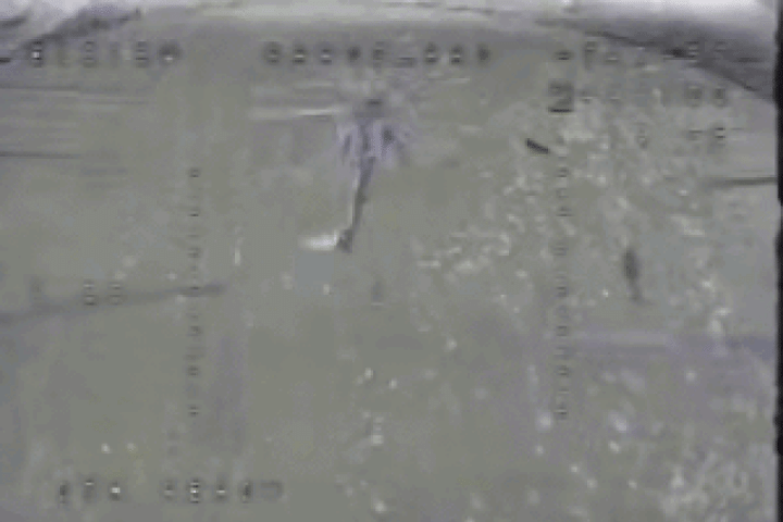 Ukraine tung video phá hủy trực thăng Mi-28 trên bầu trời Nga