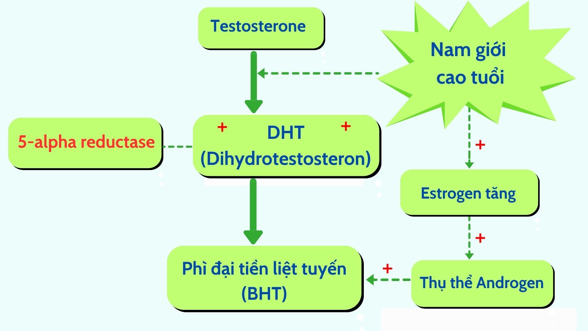 3 món ăn rất “tồi tệ” với tuyến tiền liệt: Phái mạnh cần tránh! - 4