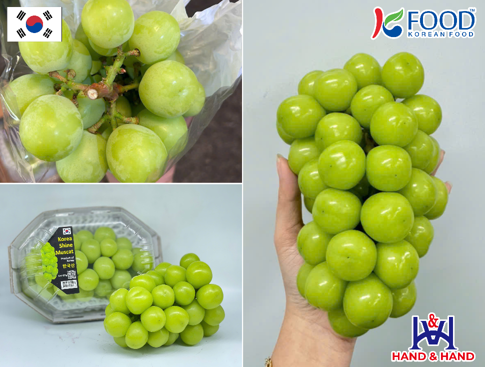 Nho mẫu đơn Hàn Quốc - Từ đặc sản xứ kim chi trở thành "trái cây quốc dân" tại Việt Nam - 2