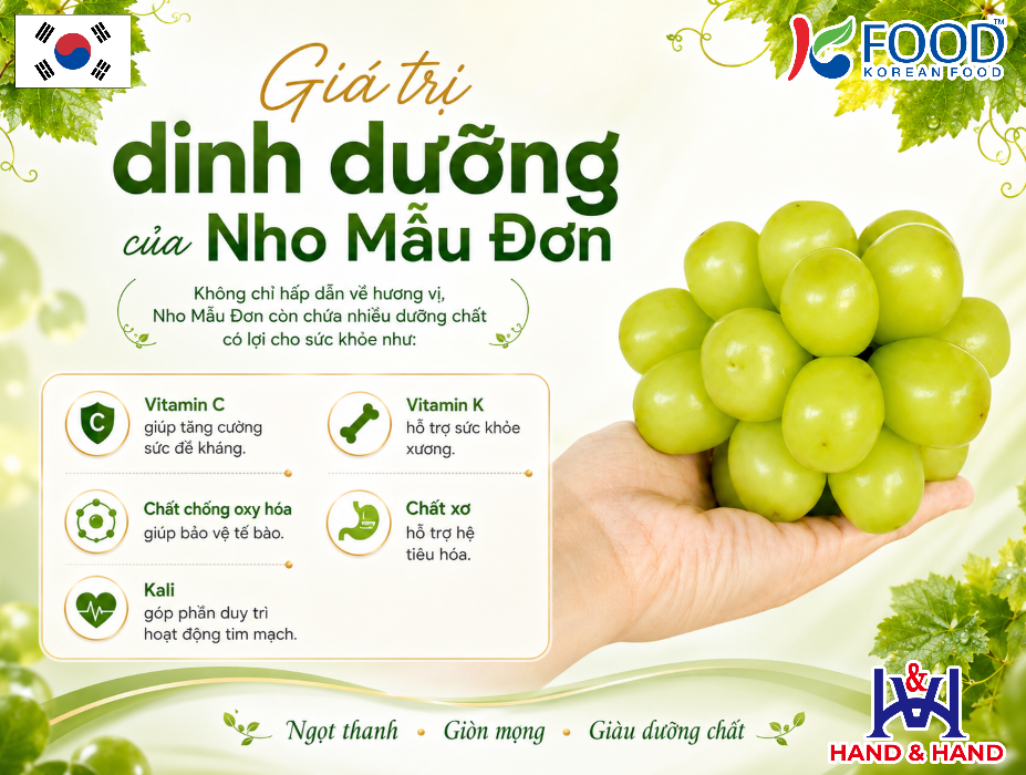 Nho mẫu đơn Hàn Quốc - Từ đặc sản xứ kim chi trở thành "trái cây quốc dân" tại Việt Nam - 3