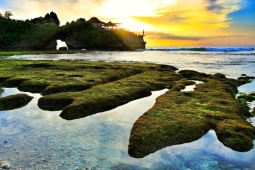 Lưng chừng trời biển Bali