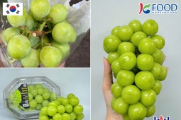 Nho mẫu đơn Hàn Quốc - Từ đặc sản xứ kim chi trở thành 