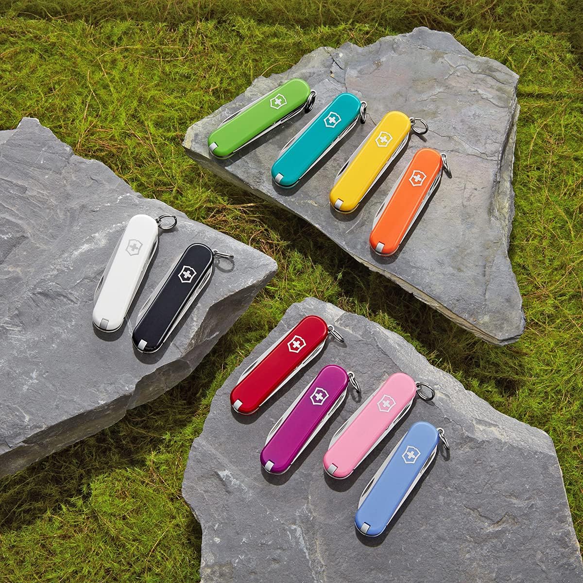 Bộ sưu tập Classic SD với nhiều phiên bản màu đa dạng (Nguồn: Victorinox)