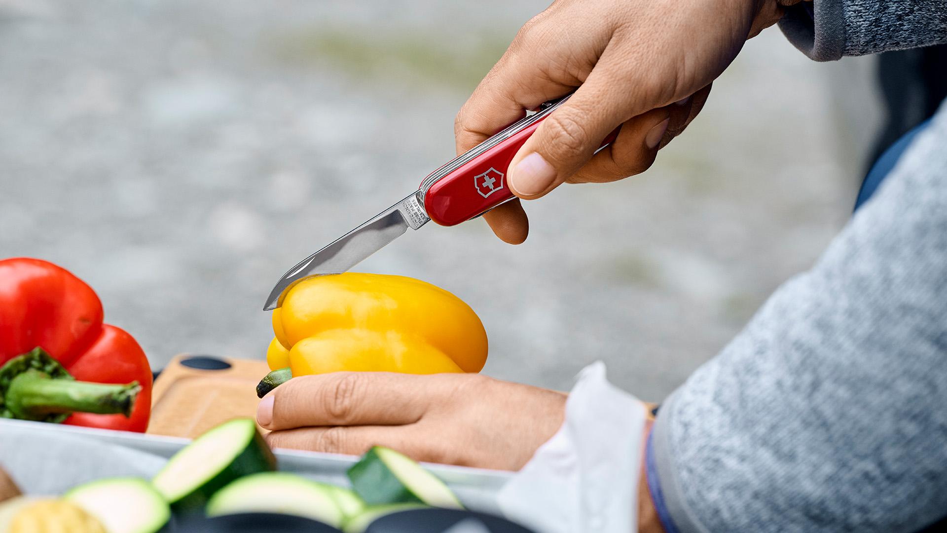 Ứng dụng của dao xếp đa năng trong đời sống hàng ngày (Nguồn: Victorinox)