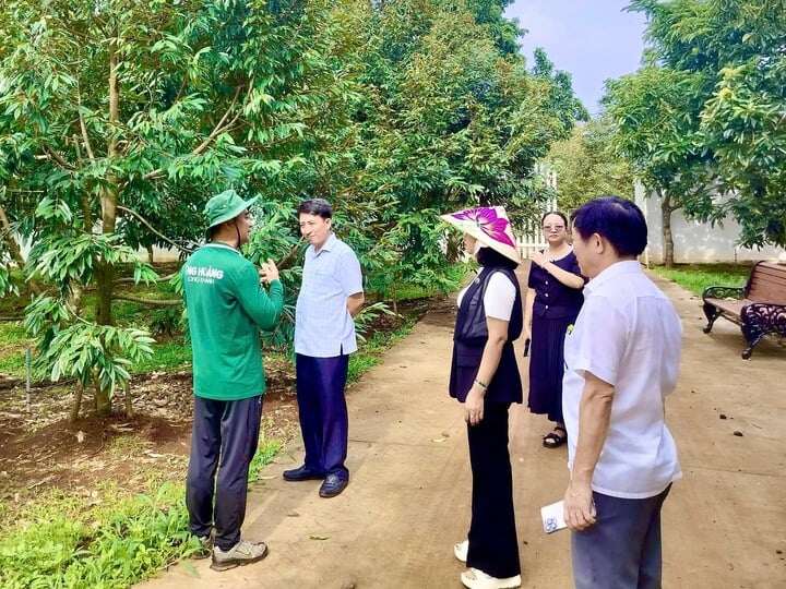 Ông Hoàng (áo xanh) bên trái chia sẻ về quy trình canh tác bơ.
