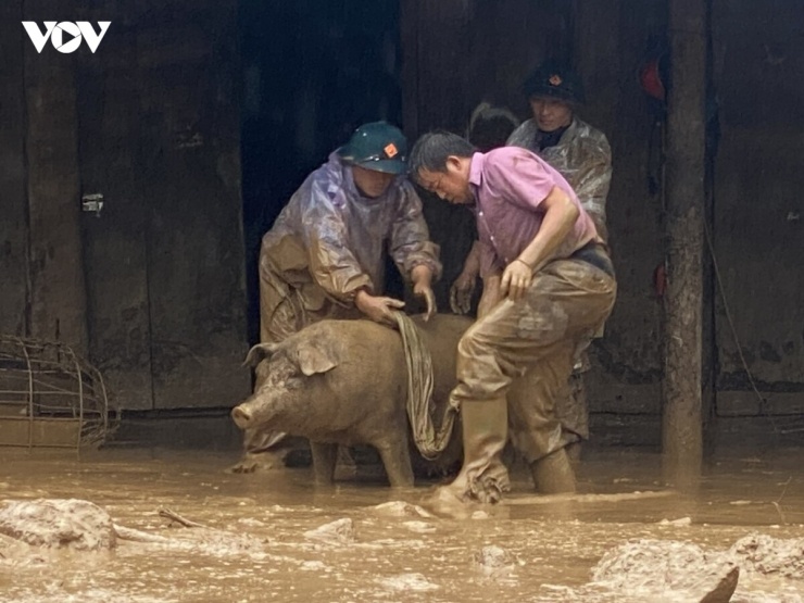 Lũ bùn đổ về nhà dân
