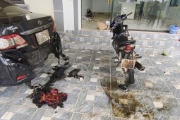Đem xăng đốt ô tô hàng xóm giữa đêm vì mâu thuẫn