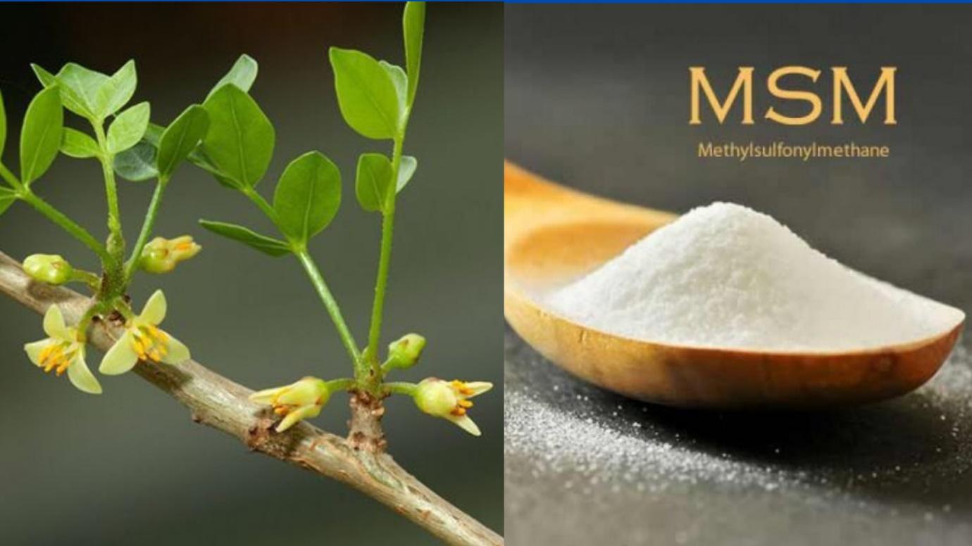 Tự kiểm tra nguy cơ thoát vị đĩa đệm nhờ 3 dấu hiệu xuất hiện ngay sau khi ngủ dậy - 5