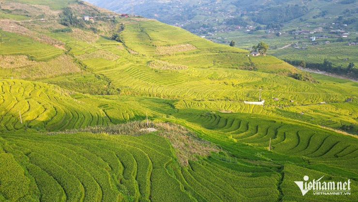Tháng 8, thời tiết Sa Pa mát mẻ, dễ chịu. Ảnh: Linh Trang
