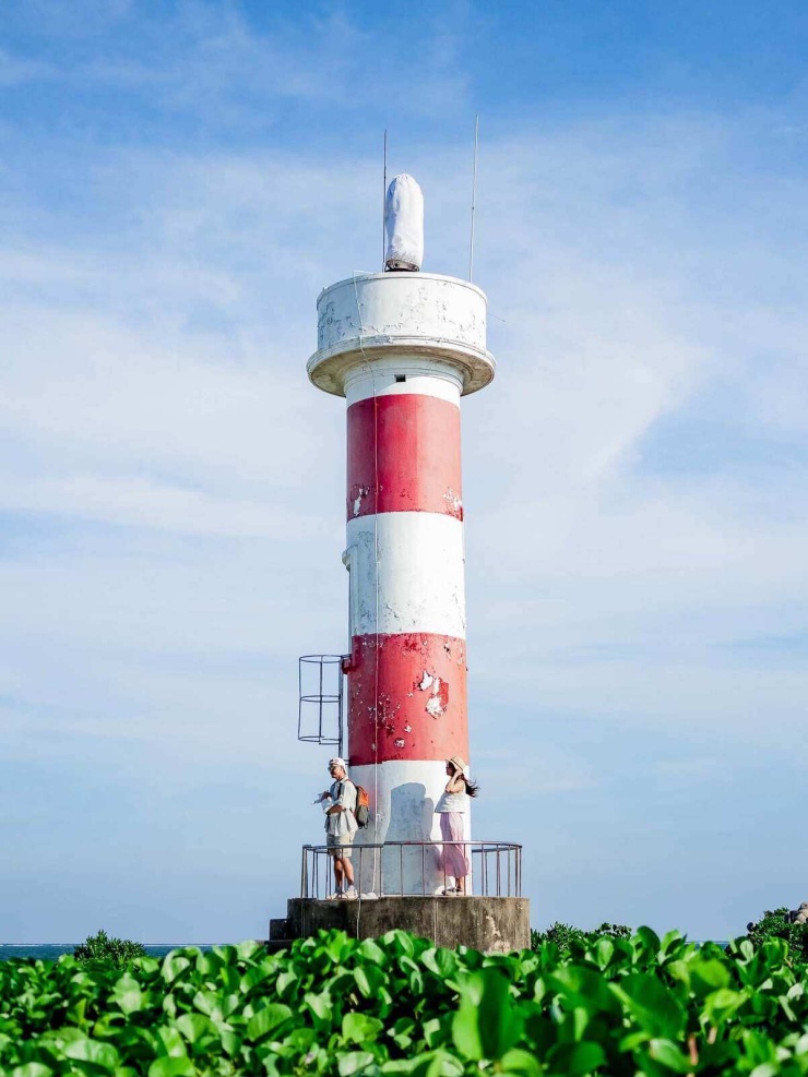 8 trải nghiệm không thể bỏ lỡ ở Lý Sơn mùa hè - 5