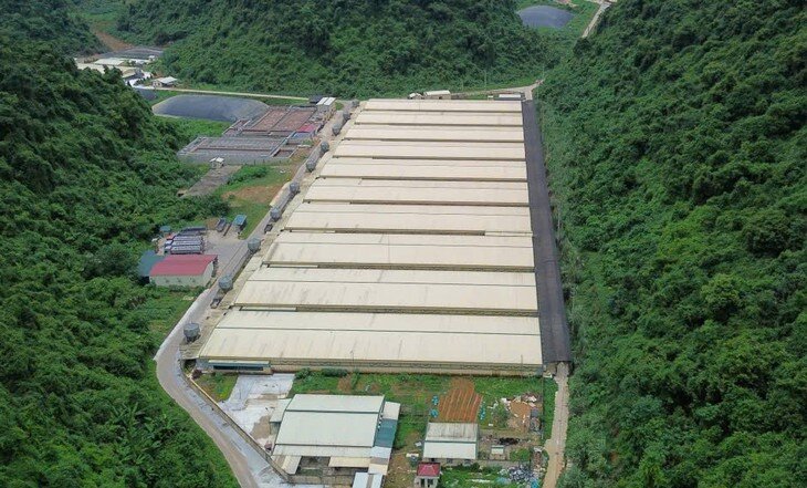 Trang trại lợn Dabaco ở xã Thạch Quảng, nơi xảy ra vụ tai nạn khiến 5 người tử vong.