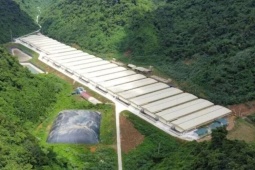 Ba người tử vong do tai nạn ở trang trại nuôi lợn tại Thanh Hóa