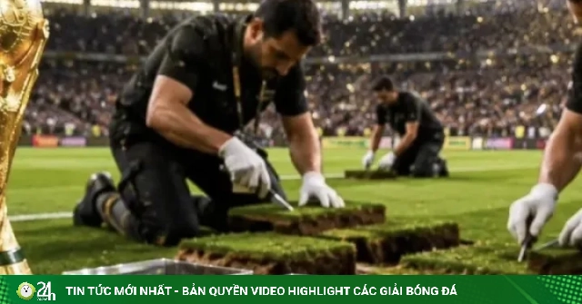 FIFA bóc sân cỏ chung kết World Cup, đóng hộp, bán hàng lưu niệm