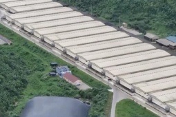 Bệnh viện Bạch Mai thông tin về vụ tai nạn thảm khốc tại trang trại chăn nuôi lợn ở Thanh Hóa
