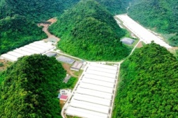 Diễn biến mới vụ tai nạn làm 5 người tử vong tại trang trại lợn Dabaco Thanh Hóa