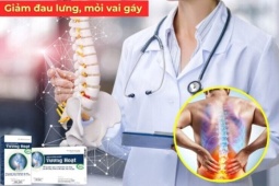 Tin tức sức khỏe - Đau lưng, mỏi cổ vai gáy dai dẳng do thoái hóa cột sống: Điều gì khiến nhiều người lựa chọn Vương Hoạt?