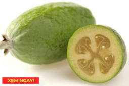 Tin tức sức khỏe - “Siêu trái cây” chứa hàm lượng vitamin C cao vượt trội, rất tốt cho hô hấp mùa nắng nóng!