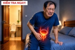 Tin tức sức khỏe - Buồn tiểu đứng ngồi không yên, vào nhà vệ sinh lại chỉ nhỏ giọt: Điều gì đang xảy ra?