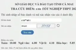 Vụ phản ánh gian lận thi tốt nghiệp ở Cà Mau: Học sinh thừa nhận, sẽ hủy kết quả thi