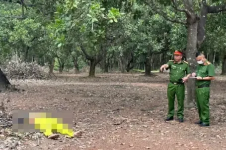 Án mạng trong vườn điều ở Đồng Nai