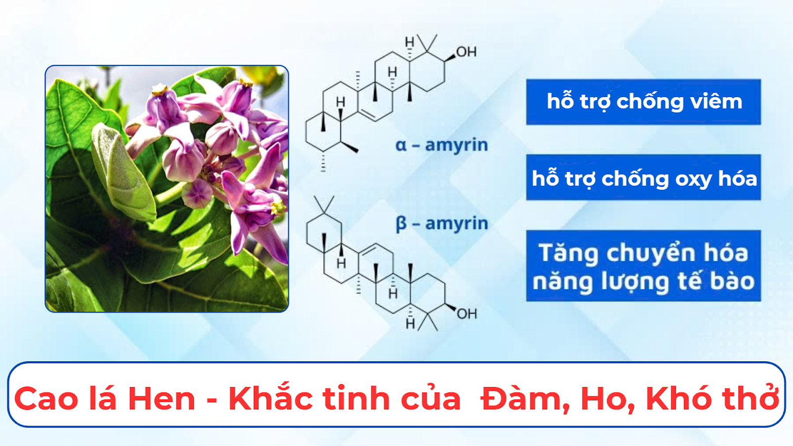 5 dấu hiệu báo động phổi đang "xuống cấp": Nhiều người hối hận vì biết quá muộn! - 6
