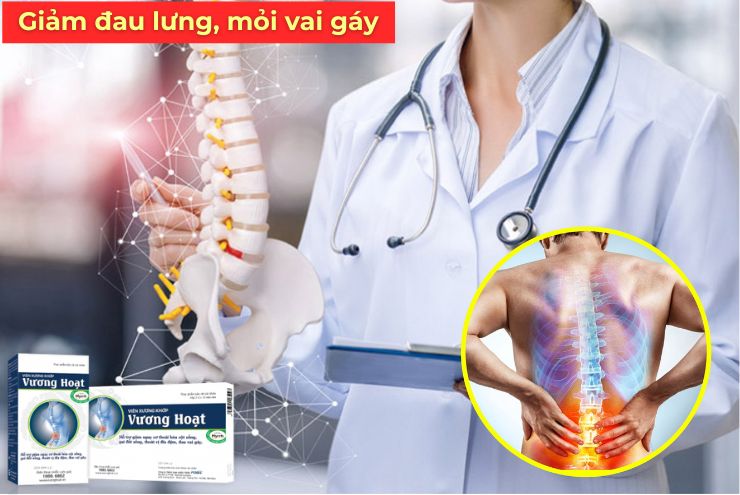 Đau lưng, mỏi cổ vai gáy dai dẳng do thoái hóa cột sống: Điều gì khiến nhiều người lựa chọn Vương Hoạt? - 1