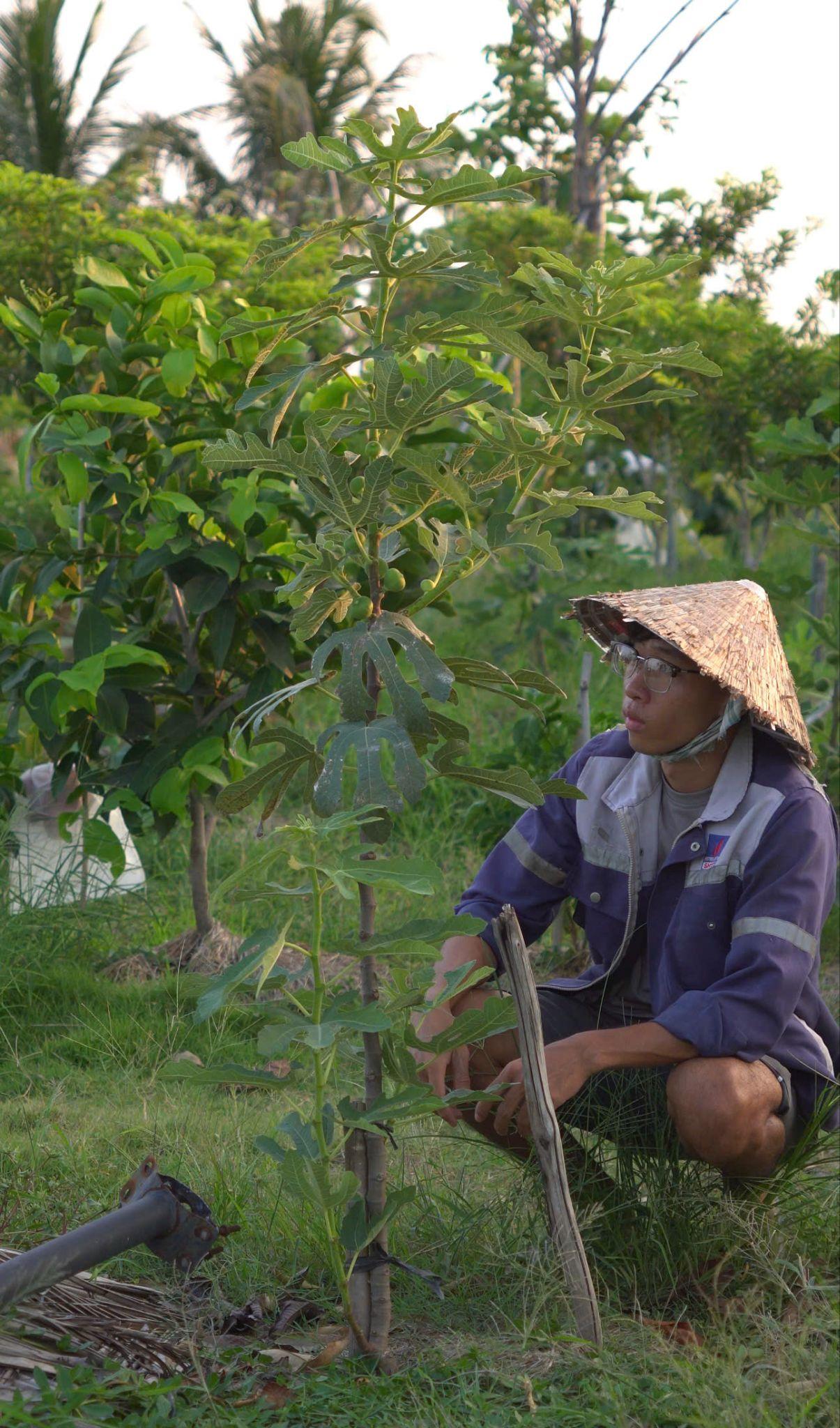 Cuộc sống bình dị nơi đồng quê. Ảnh: NVCC