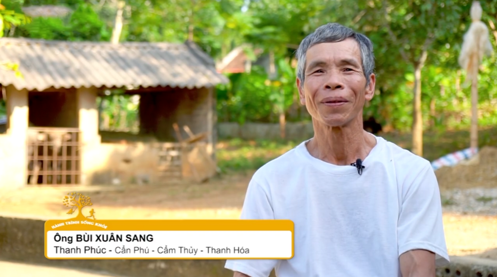 Đau lưng, mỏi cổ vai gáy dai dẳng do thoái hóa cột sống: Điều gì khiến nhiều người lựa chọn Vương Hoạt? - 6