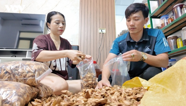 Không chỉ tiêu thụ quả tươi, người dân còn chế biến thành nhiều sản phẩm có giá trị gia tăng như dứa sấy khô, trà dứa và rượu dứa. Dứa khô được nhiều người lựa chọn để nấu nước uống hằng ngày; rượu dứa với màu vàng óng, hương thơm dịu và vị ngọt thanh đã trở thành món quà được du khách yêu thích sau mỗi chuyến ghé thăm đảo.