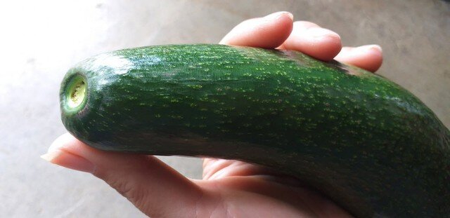 Phần vòng tròn quanh cuống bơ mà có màu vàng xanh thì mới là quả bơ ngon.