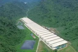 Sát thủ 'trứng thối' trong không gian kín gây cái chết nhanh thế nào