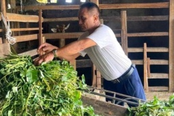 Một người Nghệ An 33 năm chăm "con đại bổ", tiết lộ kinh nghiệm thành công, kiếm hàng trăm triệu/năm