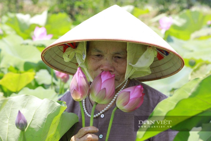 Bước ngoặt lớn diễn ra vào năm 2016 khi bà thực hiện đề tài nghiên cứu khoa học cấp Nhà nước về việc thử nghiệm dệt lụa từ cuống sen. Trong những ngày đầu đầy áp lực, điểm tựa tinh thần lớn nhất của bà là câu nói của đứa cháu nội: "Con sẽ làm với bà!", thêm động lực cho quyết tâm của người nghệ nhân. 