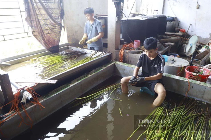 Các bạn trẻ đến học nghề sẽ được bà trả lương tháng.