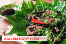 Tin tức sức khỏe - 4 sai lầm “tai hại” mà người đau nhức xương khớp dễ mắc phải khiến cơ bắp nhão yếu, vận động khó khăn