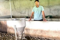 Thất bại khi nuôi lợn, anh nông dân Nghệ An thấy con vật mới này, nuôi thử 5.000 con ở chuồng lợn cũ, thành công ngay