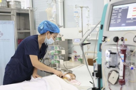 Bé trai 15 tháng tuổi nguy kịch sau khi bị ong vò vẽ đốt 60 nốt