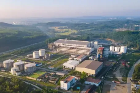Bán xăng E10: Cơ hội hồi sinh các nhà máy ethanol 'đắp chiếu'
