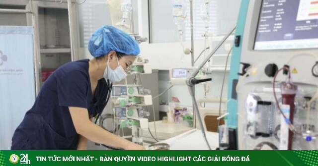 Bé trai 15 tháng tuổi nguy kịch sau khi bị ong vò vẽ đốt 60 nốt