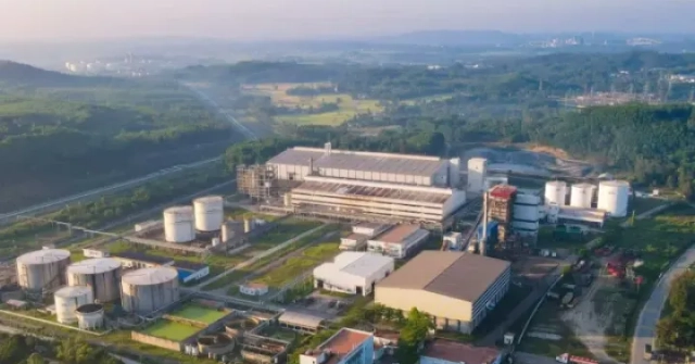 Bán xăng E10: Cơ hội hồi sinh các nhà máy ethanol "đắp chiếu"