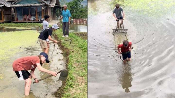 Dân mạng thích thú cũng muốn được thử trải nghiệm như khách Tây. (Ảnh chụp màn hình)