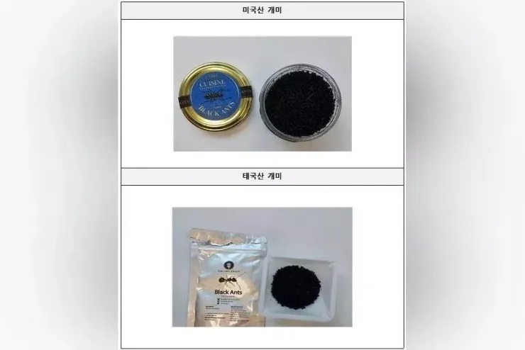 Loại kiến khô nhập khẩu từ Mỹ dùng trong món tráng miệng. Ảnh: Ministry of Food and Drug Safety