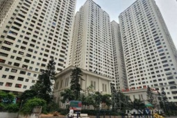 Lãi suất thả nổi lên 15 - 16%, nhiều gia đình "oằn vai" trả nợ mua nhà