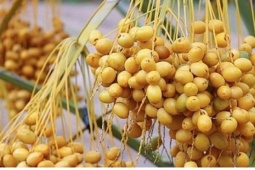 10 loại trái cây giàu chất xơ, càng ăn càng tốt cho tiêu hóa và sức khỏe