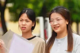 Bộ GD&ĐT chỉ rõ nguyên nhân gian lận thi tại Tuyên Quang, Quảng Trị