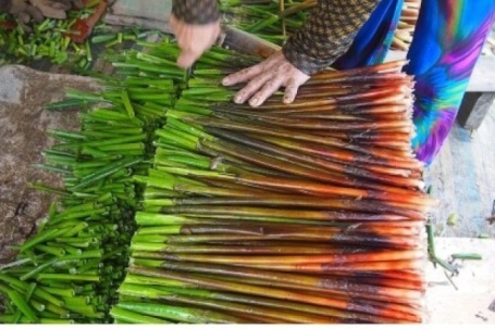 Loài cỏ dại chỉ hái bán đêm “lên đời” thành đặc sản miền Tây