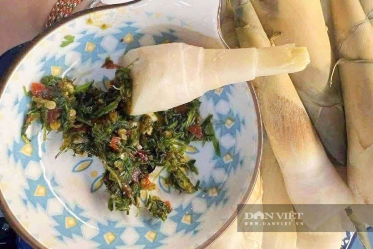 Sau khi thu hái, măng lay được làm sạch, luộc chín và chấm cùng chẩm chéo, vị giòn, ngọt của măng lay hòa quyện với vị cay tê của chẩm chéo tạo nên món ăn mộc mạc nhưng đủ sức níu chân bất cứ ai từng một lần thưởng thức. Ảnh: Trường Sơn.
