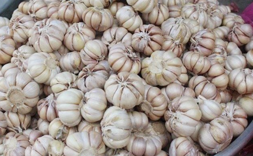 Tỏi được xem là một trong những thực phẩm có khả năng kháng khuẩn tự nhiên nổi bật nhờ chứa hàm lượng allicin cao.